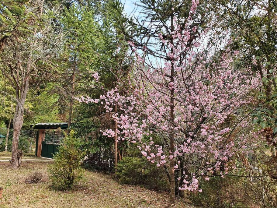 Villa Casa Da Nanna Campos à Campos do Jordão Extérieur photo